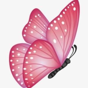 Meet your Posher, Ana